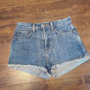 NWOT Aritzia Denim Forum The Tarah Cheeky short in dark wash
